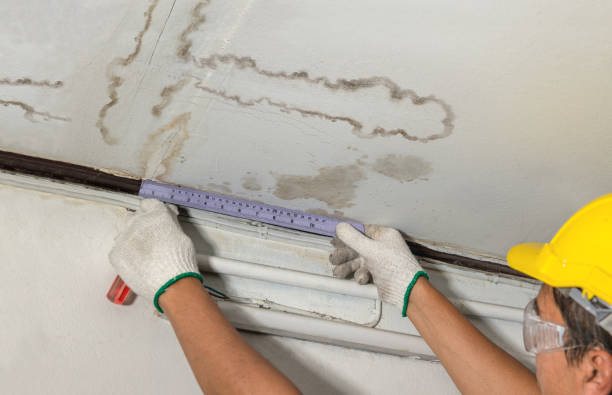 Reliable Basement Water Removal contractor in Mustang, OK by Water Damage Irwin